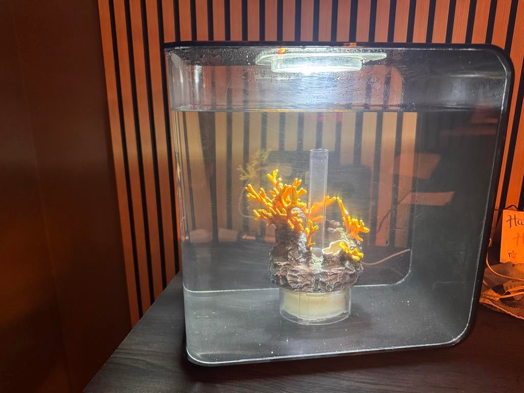 Biorb aquarium 30 liter, Dieren en Toebehoren, Ophalen, Gebruikt, Leeg aquarium