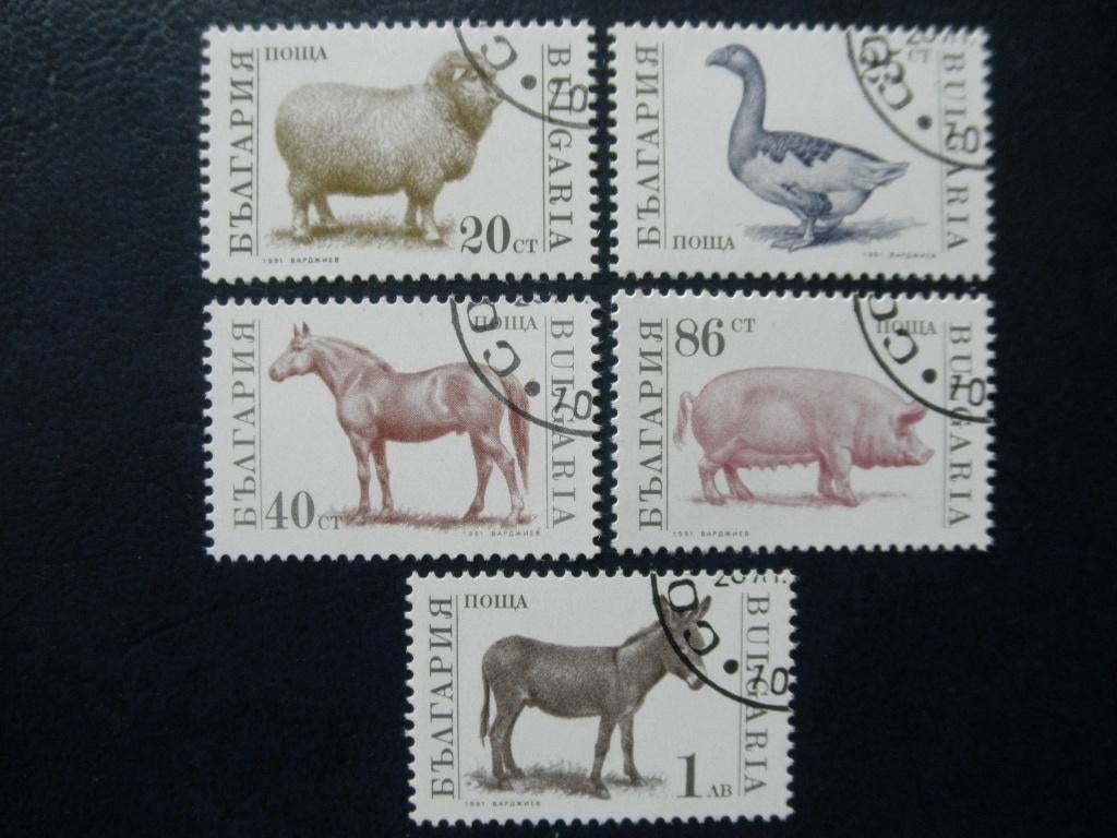 Postzegels dieren Bulgarije 1991 schaap vogels paarden ezel., Ophalen of Verzenden, Gestempeld, Dier of Natuur