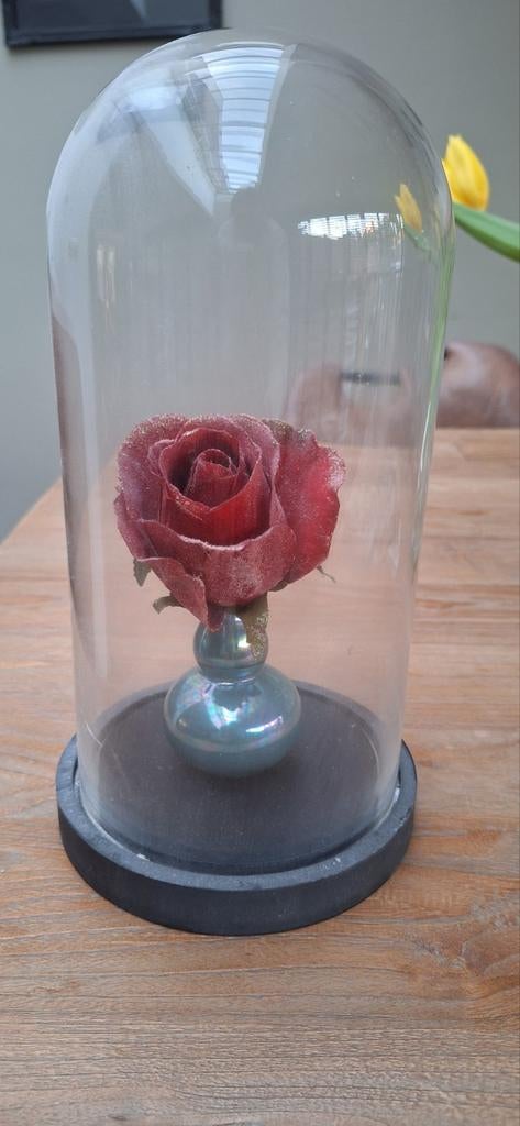 Glazen stolp met of zonder vaas&roos, Ophalen