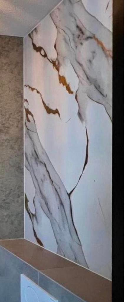 Achterwand toilet, 60 cm of meer, Zo goed als nieuw, Minder dan 5 m², Wandtegels