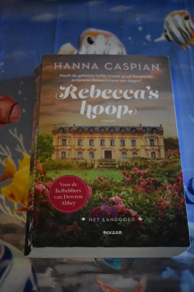 boek van Hanna Caspian/Rebecca's hoop, Ophalen of Verzenden, Zo goed als nieuw, Hanna Caspian