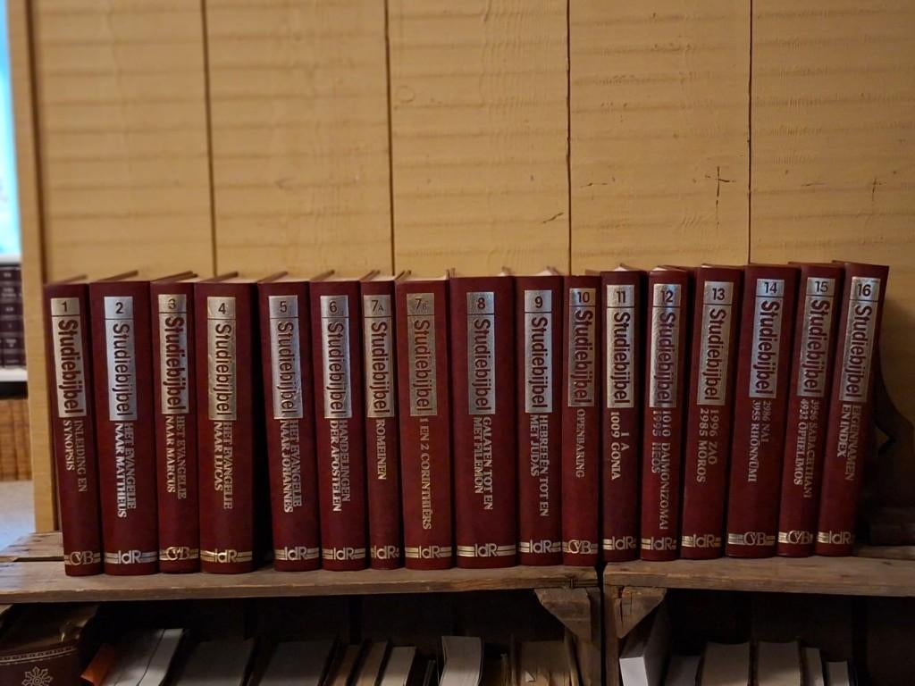 Studiebijbel in 17 delen, NT (compleet), Boeken, Godsdienst en Theologie, Ophalen, Zo goed als nieuw, Bette, v.d. Brink, Christendom | Protestants