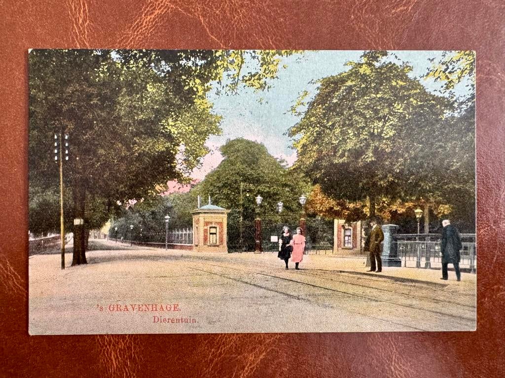 Ansichtkaart 's Gravenhage Dierentuin, Ophalen of Verzenden, 1920 tot 1940, Gelopen, Zuid-Holland