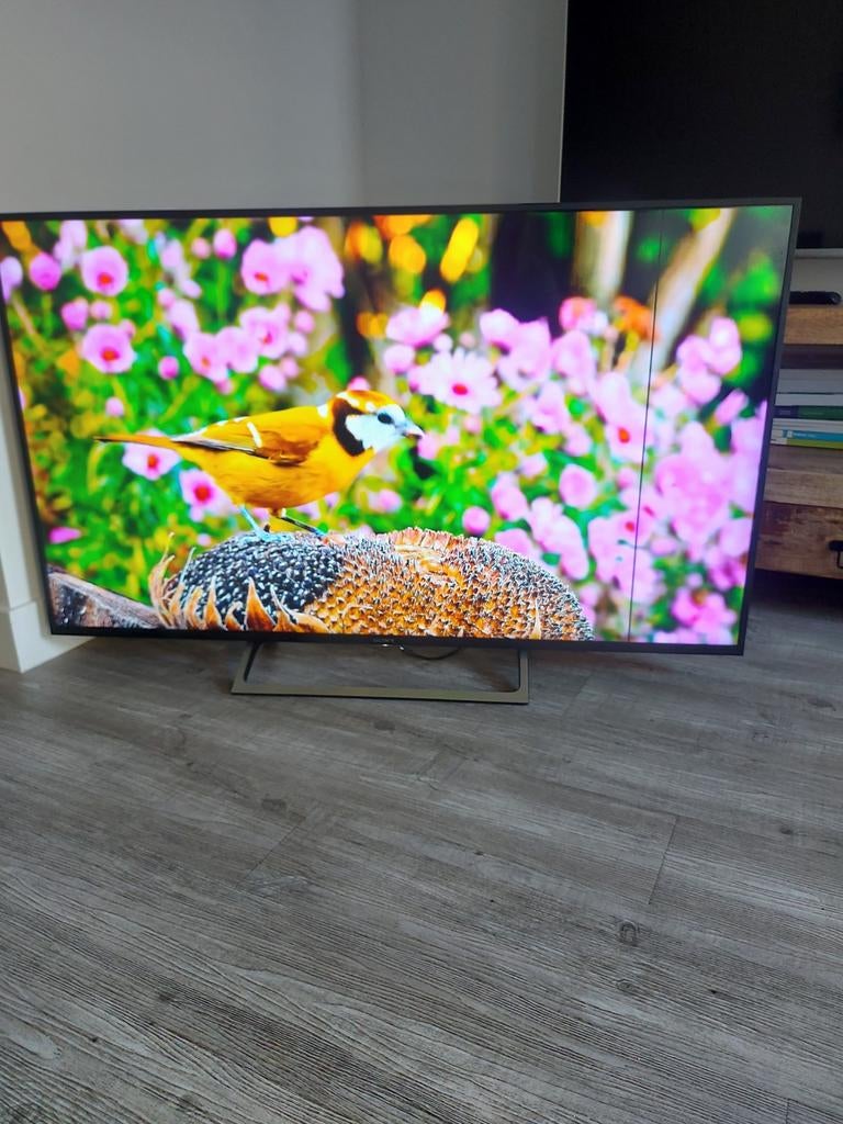 Sony smart tv 55 inch met klein defect, Ophalen