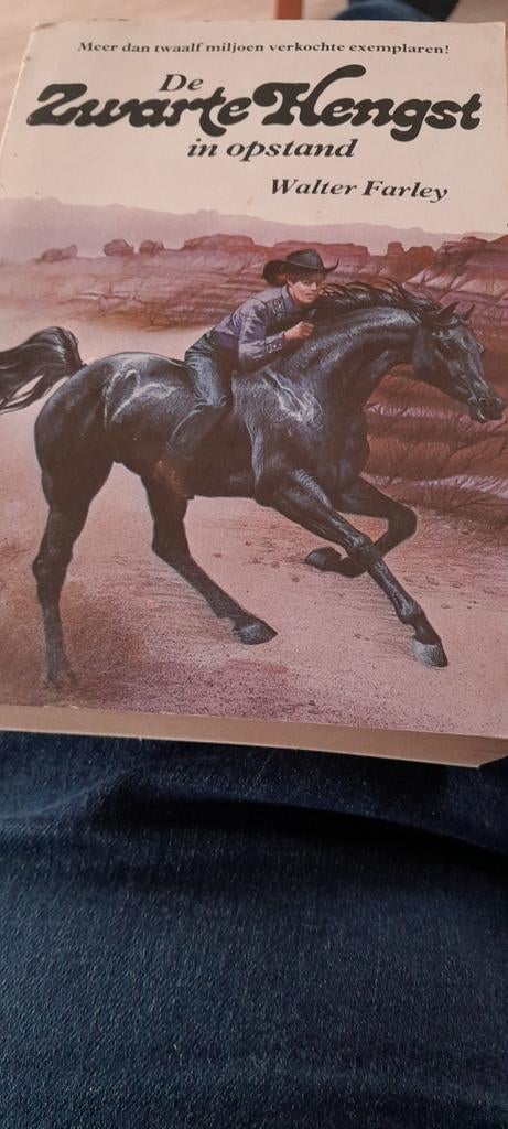 De Zwarte Hengst in opstand - Walter Farley, Ophalen of Verzenden, Gelezen, Walter Farley, Nederland