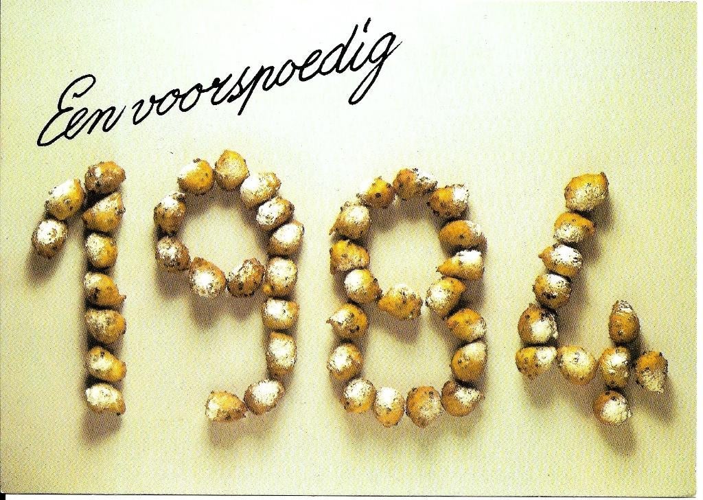 Ansichtkaart	Nieuwjaarskaart	Oliebollen	1984, Verzenden, 1980 tot heden, Ongelopen, Feest(dag)