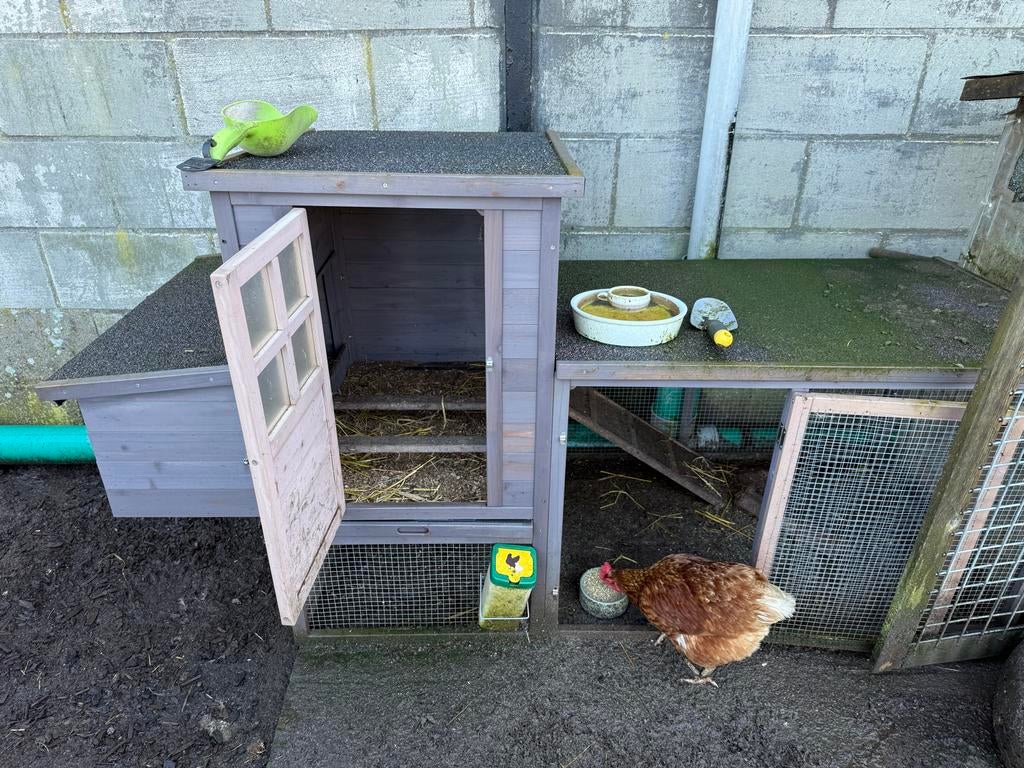 Kippenhok, Ophalen, Zo goed als nieuw, Kippenhok of Kippenren