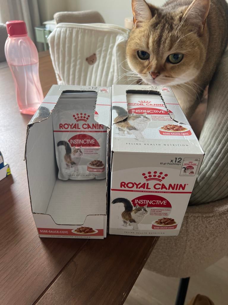 Royal Canin Natvoer Kat Instinctive, Ophalen of Verzenden, Kat