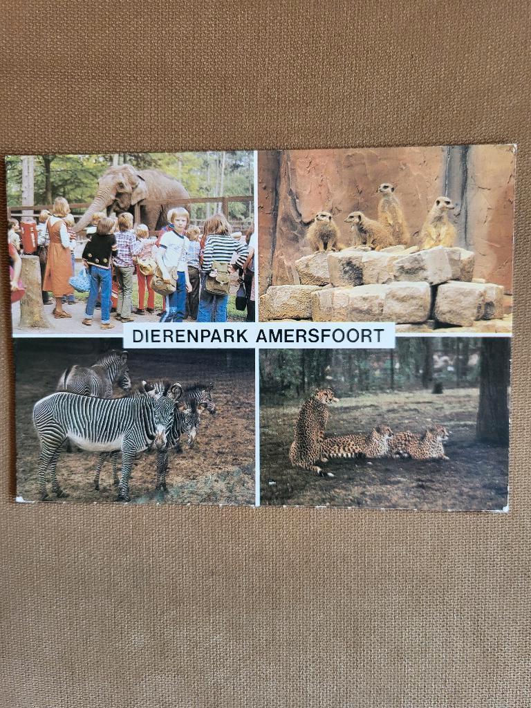 Dierenpark Amersfoort., Verzamelen, Ophalen of Verzenden, 1960 tot 1980, Gelopen, Overige thema's