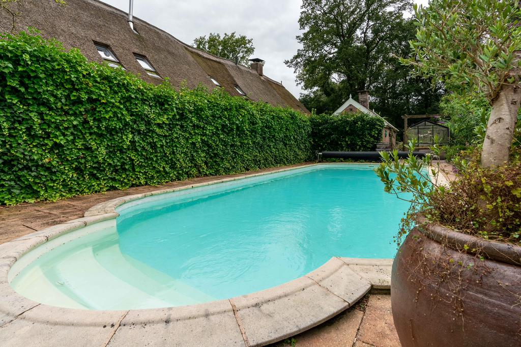 Alpacaovernachting. Altijd al willen overnachten bij alpacas, 8 personen, 4 of meer slaapkamers, Dorp, Open haard