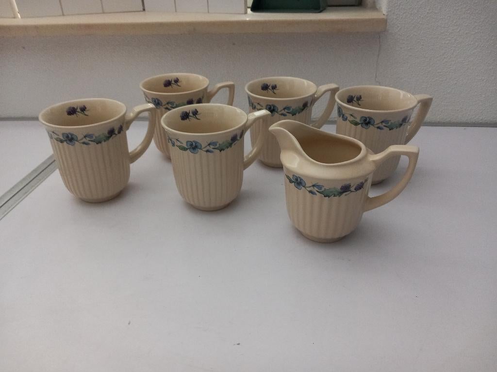 Jet servies Bramen en Violen nieuw., Keramiek, Overige typen, Ophalen of Verzenden, Zo goed als nieuw