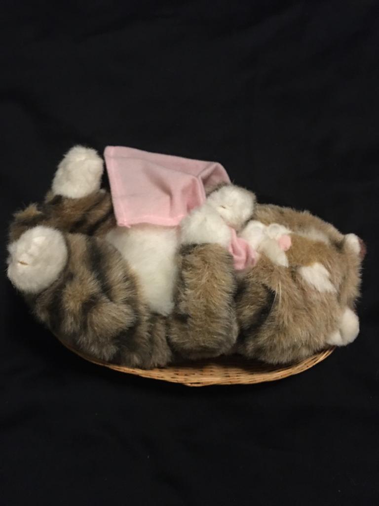 Slapende kat in mandje, Ophalen of Verzenden, Zo goed als nieuw, Poes