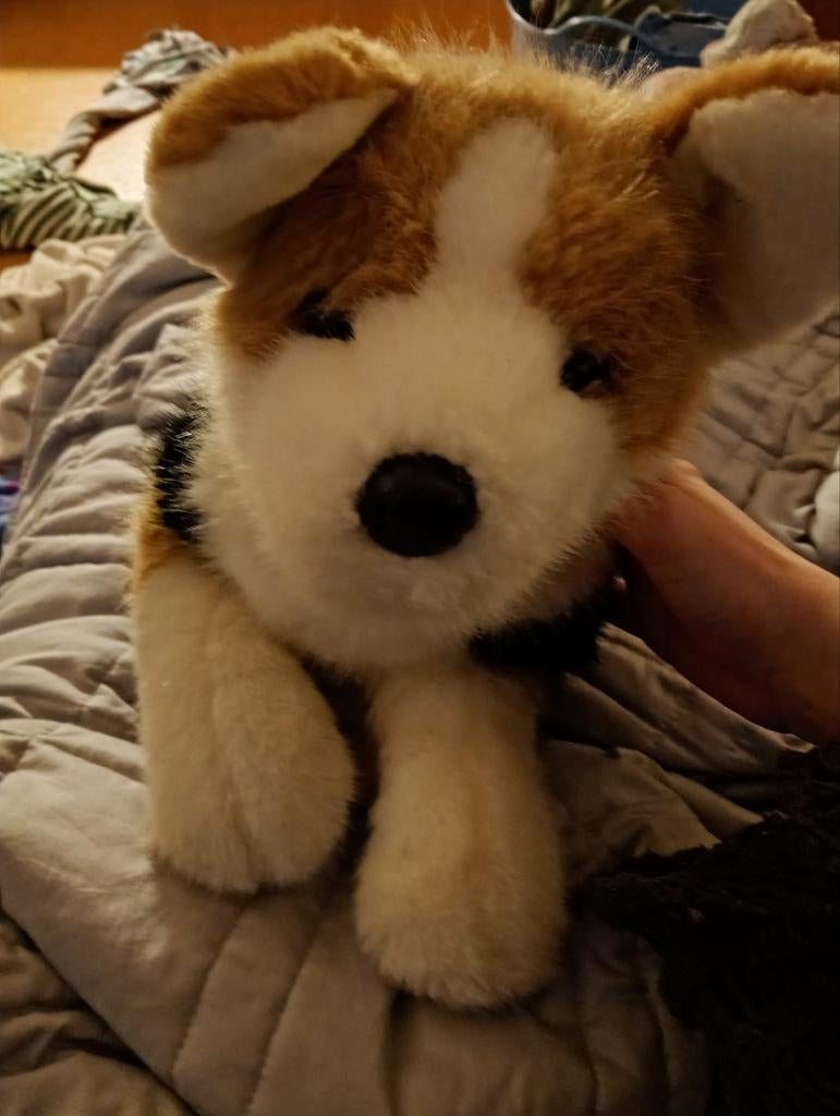 Douglas Corgi DLux, Ophalen of Verzenden, Overige typen