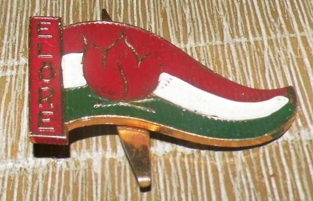 Hongarije - Badge Pionier, Verzamelen, Scouting, Ophalen of Verzenden, Gebruikt, Embleem, Speld of Insigne