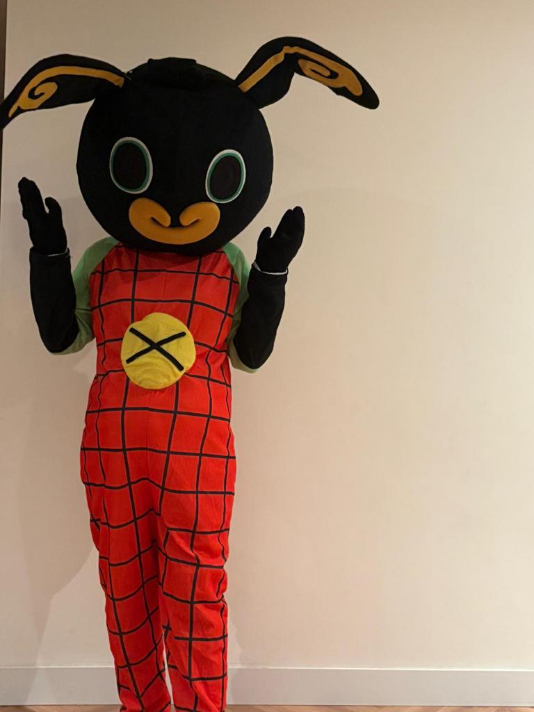 Bing mascotte, Hobby en Vrije tijd, Feestartikelen | Verhuur, Ophalen, Zo goed als nieuw