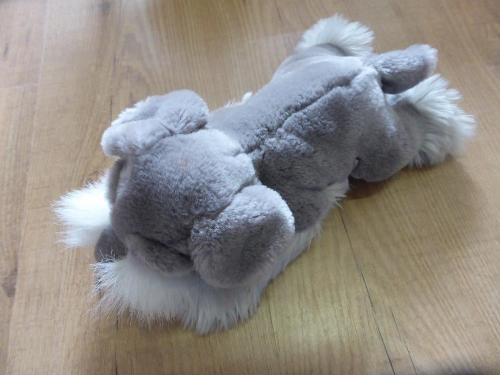 Mooie terrier (C), Ophalen of Verzenden, Zo goed als nieuw, Overige typen