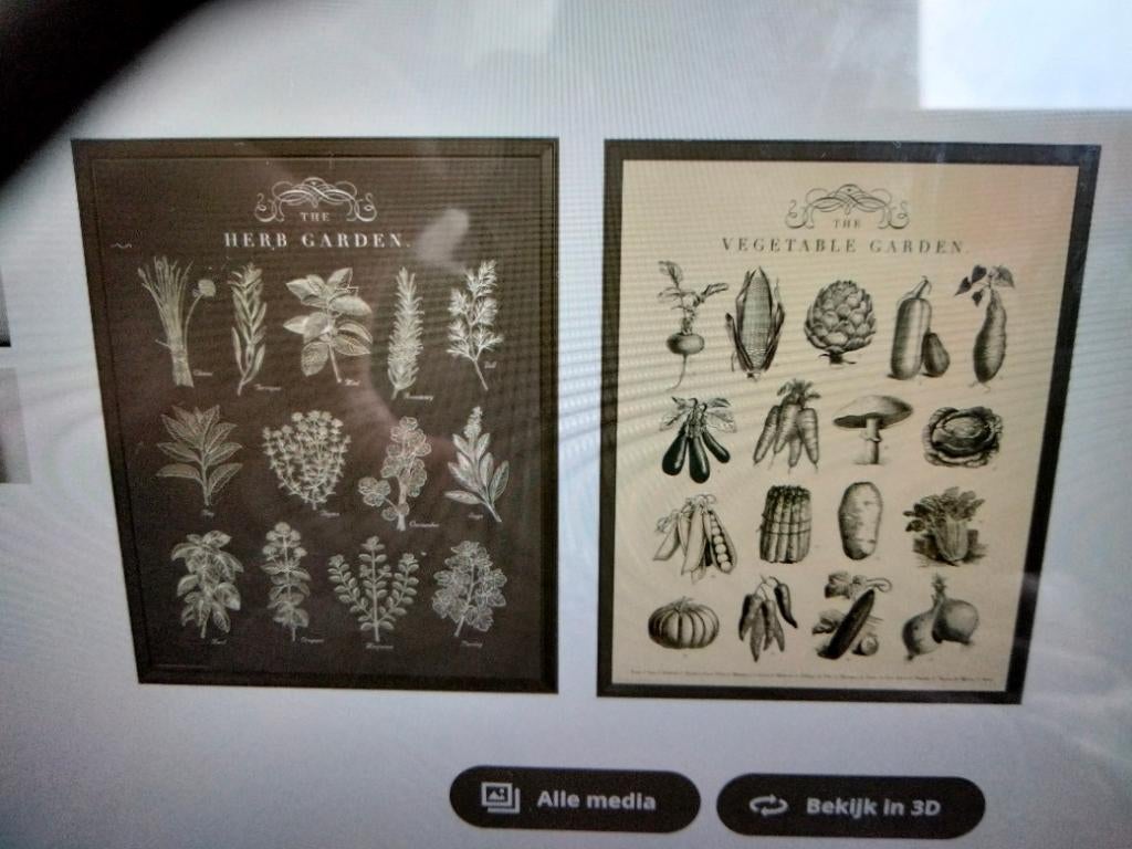 Ikea prent 2st in Knoppang lijst. NIEUW,gesloten verpakking, Ophalen, Minder dan 50 cm, 50 tot 75 cm, Overige typen