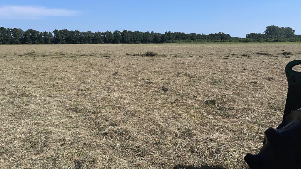 Hooi paardenhooi analyse aanwezig Pavo, Dieren en Toebehoren, Dierenvoeding, Ophalen of Verzenden, Vee