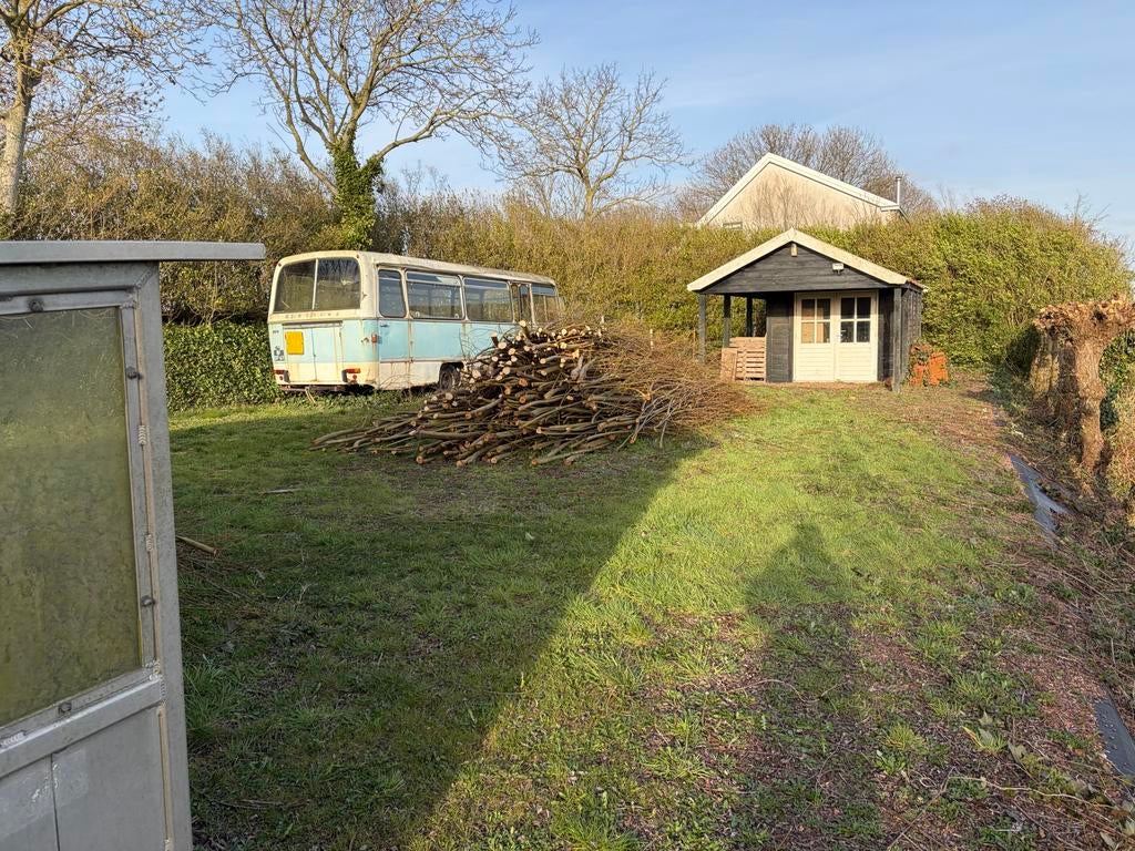 Verse wilgentakken voor diverse doeleinden, 3 tot 6 m³, Ophalen, Overige houtsoorten, Takken