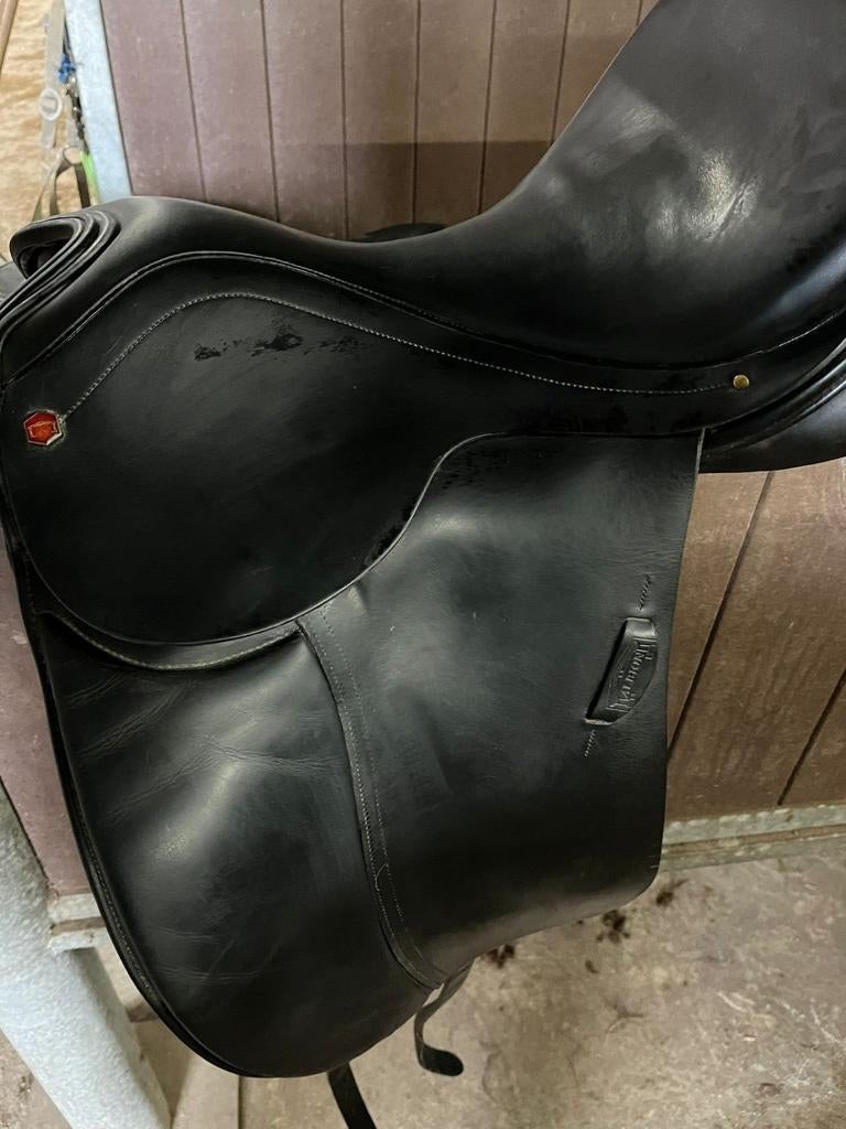 Albion 17'5 inch, Dieren en Toebehoren, Ophalen of Verzenden, Gebruikt, Dressuur