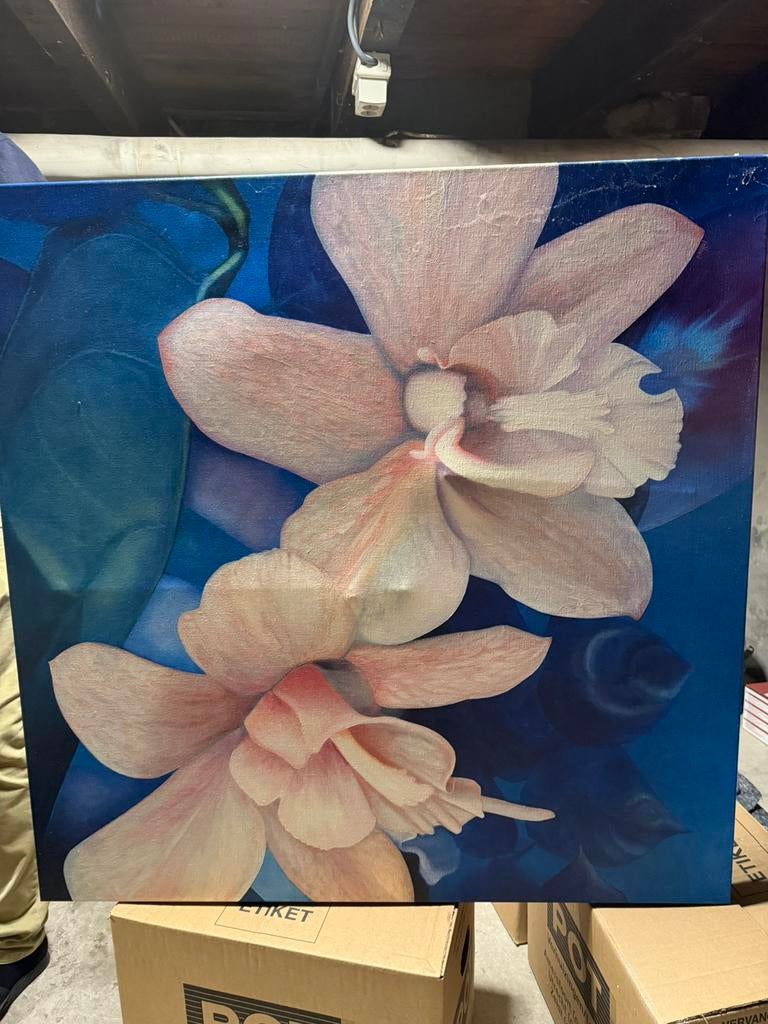 Schilderij 1.00 x 1.00, Ophalen