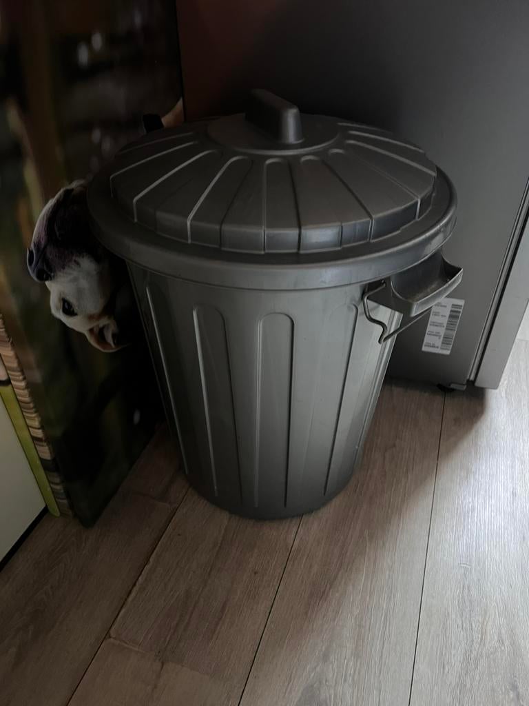 Nog bijna 3 kwart zak hondenvoer, Ophalen, Kunststof, 40 liter of meer, Zo goed als nieuw