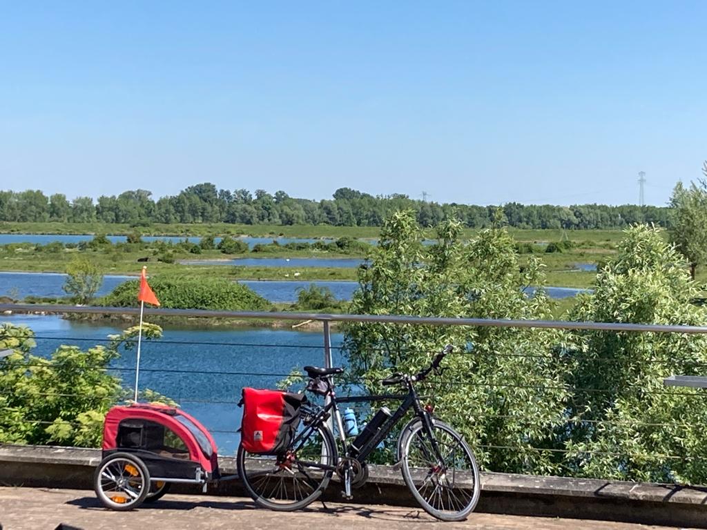 fietsaanhangwagentje, Ophalen, Trixie, Gebruikt, Minder dan 20 kg