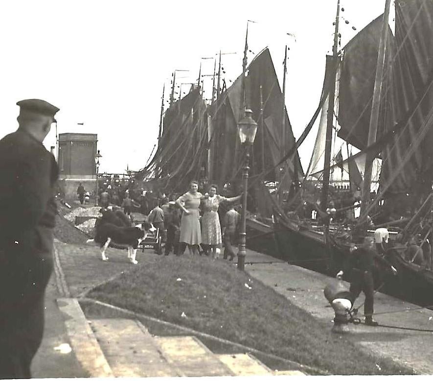 Enkhuizen-50   Visserij- Haven -Fotokaart, Verzenden, 1920 tot 1940, Gelopen, Noord-Holland