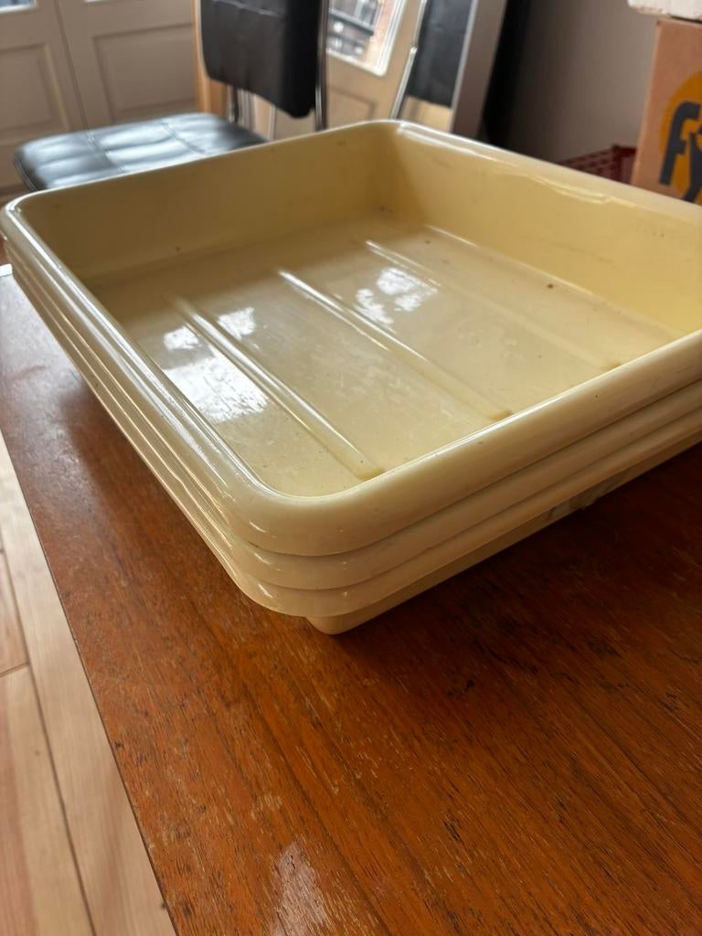 Ontwikkelschalen 25x30cm (10x12 inch), Ophalen of Verzenden, Gebruikt