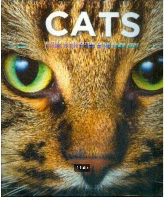 Cats katzen katten gatos кошки kočky NR0176, Verzenden, Gelezen, Katten