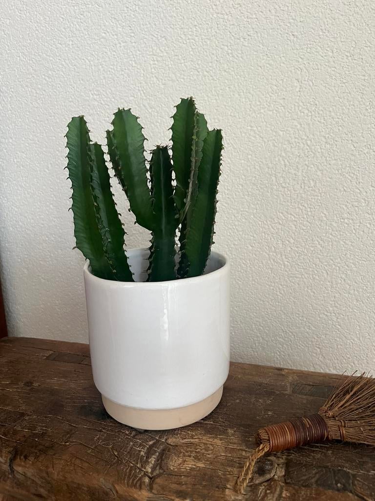 Bloempot, Rond, Ophalen of Verzenden, Aardewerk, Minder dan 40 cm