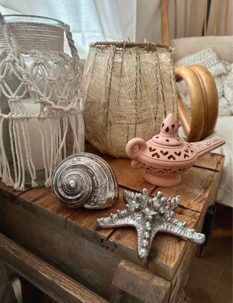 Zilverkleurige schelp en zeester ter decoratie, Ophalen of Verzenden, Zo goed als nieuw