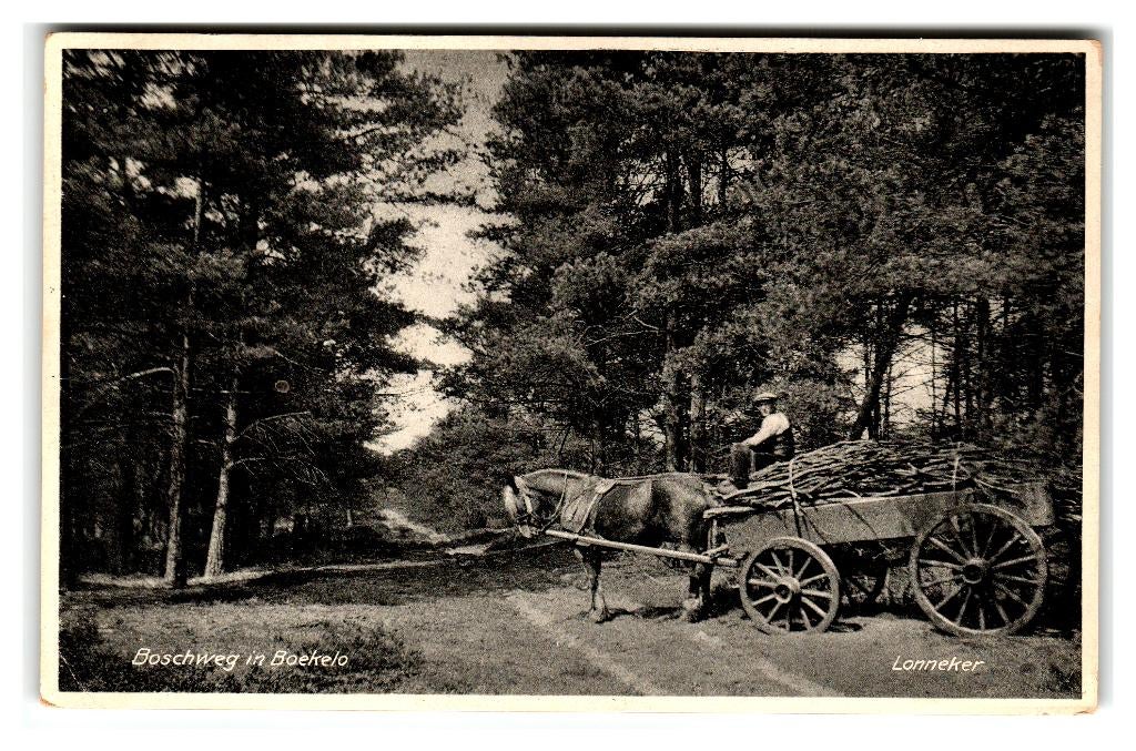 Lonneker, Boschweg in Boekelo, Verzenden, 1920 tot 1940, Gelopen, Overijssel