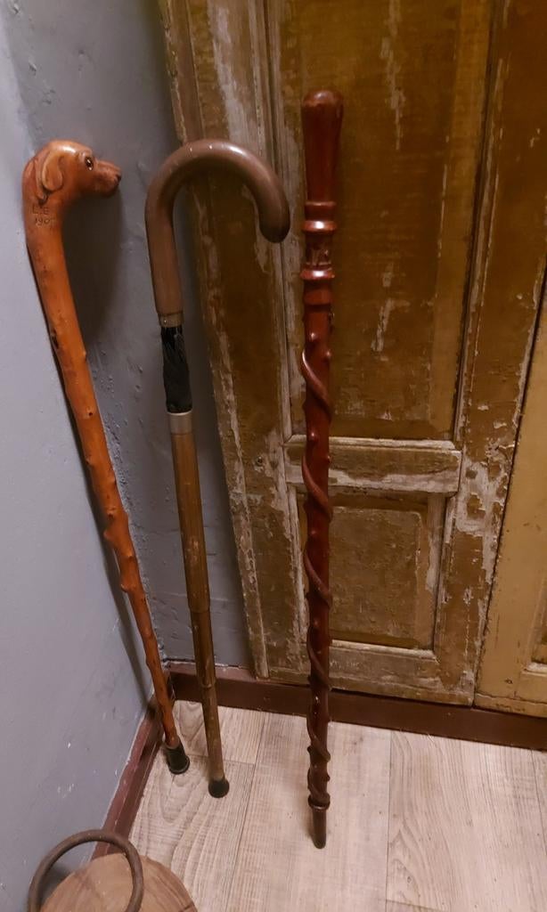 Antieke wandelstok met paraplu/parasol erin, Ophalen of Verzenden