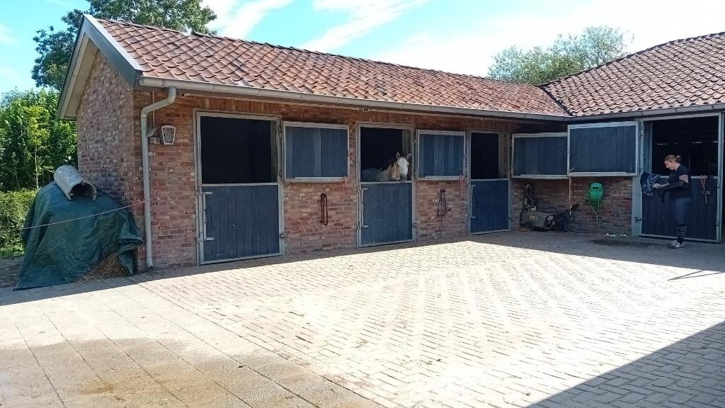 meerdere paardenboxen €280 per maand, Weidegang, 4 paarden of pony's of meer