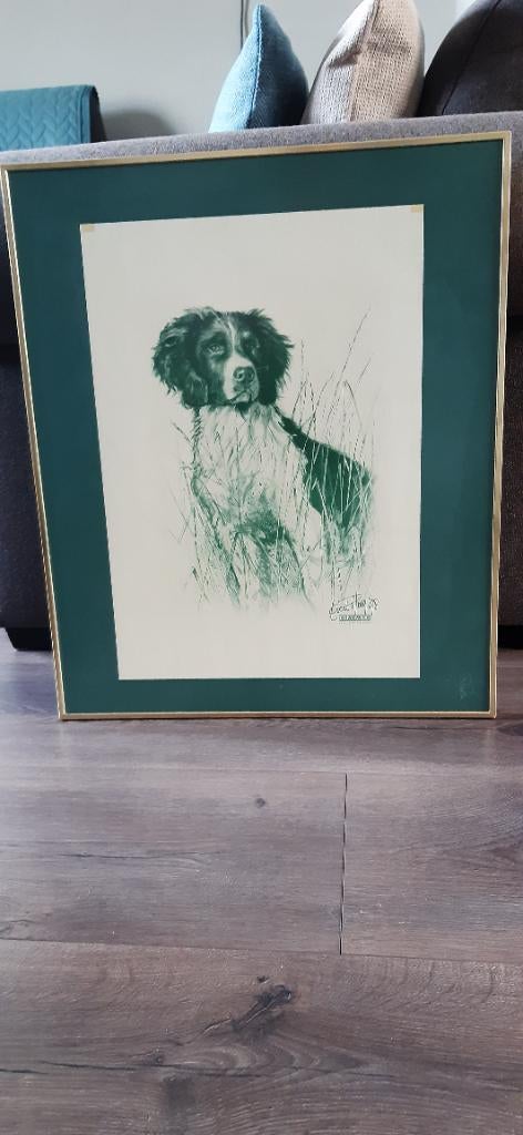 Pentekening jachthond, Ophalen, Zo goed als nieuw, 50 tot 75 cm, Tekening