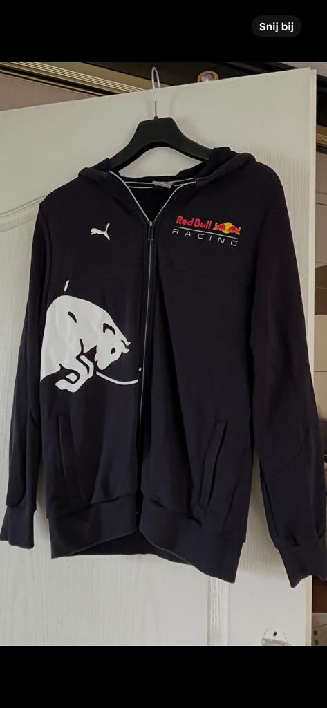 REDBULL JACK mt M (Max Verstappen team), Ophalen of Verzenden, Nieuw, Blauw