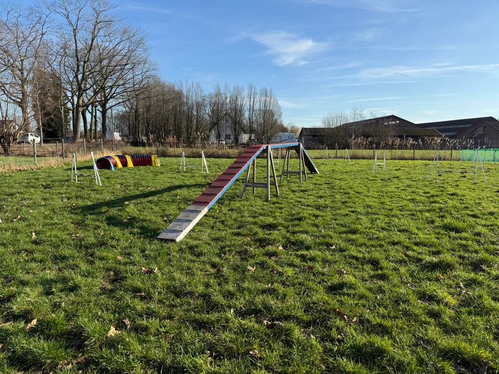 Kattenloop Agility Favoriet Behendigheid, Dieren en Toebehoren, Ophalen, Gebruikt