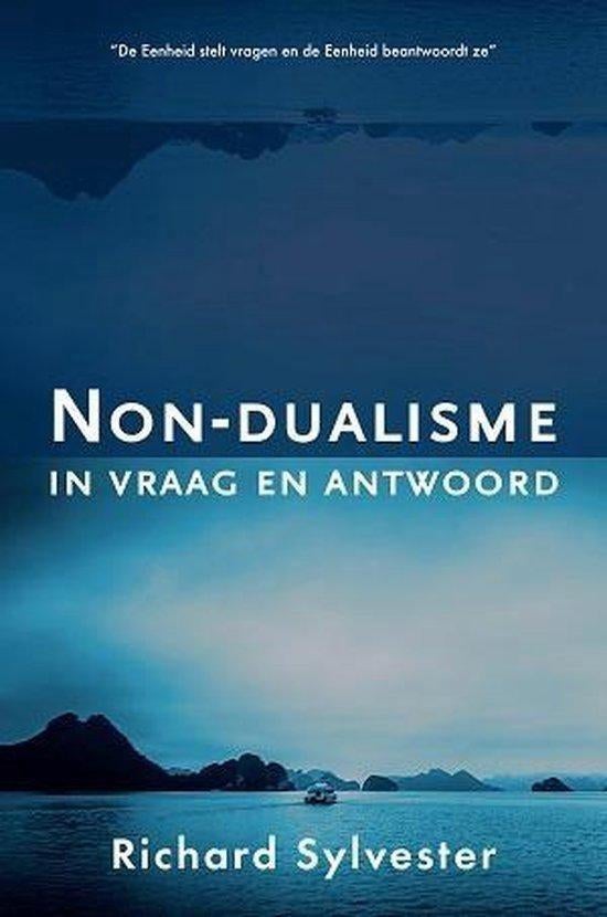 Richard Sylvester Non-Dualisme in vraag en antwoord, Ophalen of Verzenden, Nieuw, Spiritualiteit algemeen, Overige typen