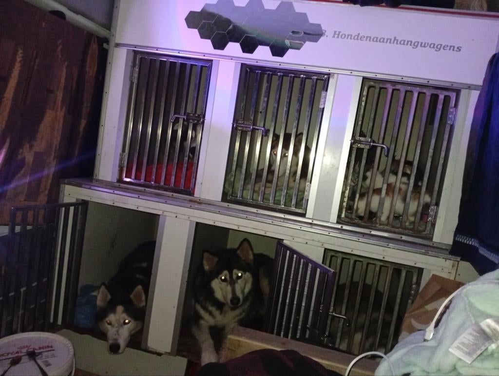 Jsb kennels, Dieren en Toebehoren, Hondenbenches, Ophalen