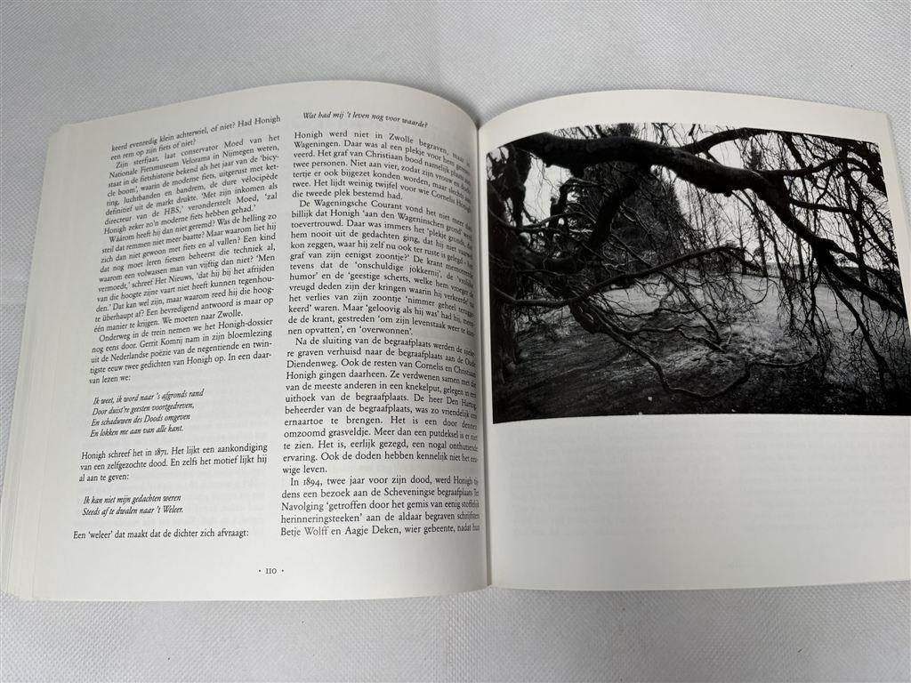 Pen in Ruste — Schrijversgraven in Midden-Nederland, Ophalen of Verzenden, Gelezen