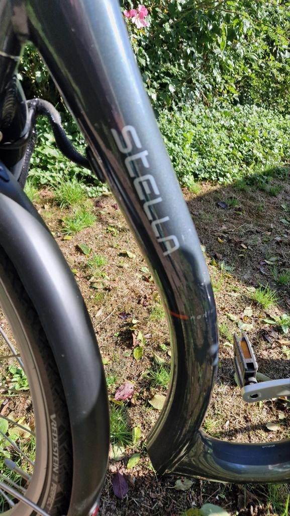 Stella driewieler fiets voor volwassenen met zware accu, Ophalen