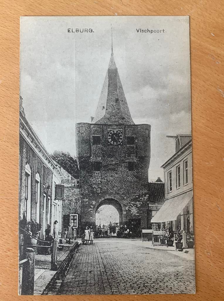 Elburg ansichtkaart vischpoort, Ophalen of Verzenden, Gelderland