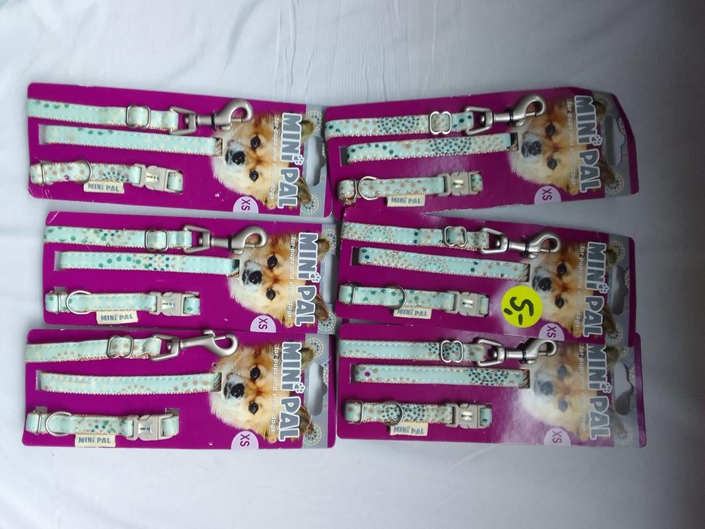 Mini pals looplijn+halsband maat xs, Www.ipts.nl, Nieuw, Ophalen of Verzenden, Ipts bv