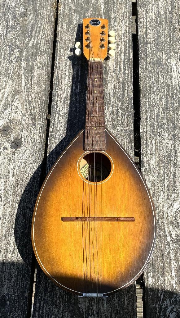 Leuke Egmont Mandoline - vintage, Ophalen of Verzenden, Gebruikt