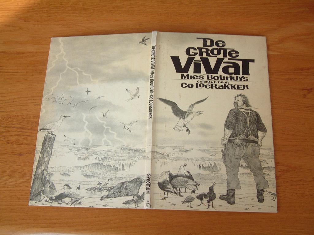 boek de grote ViVat Mies Bouhuys tekeningen Co Loerakker, Ophalen of Verzenden, Gelezen, Fictie algemeen