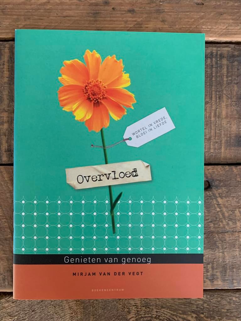 Overvloed, genieten van genoeg - Mirjam vd Vegt, Ophalen of Verzenden, Nieuw