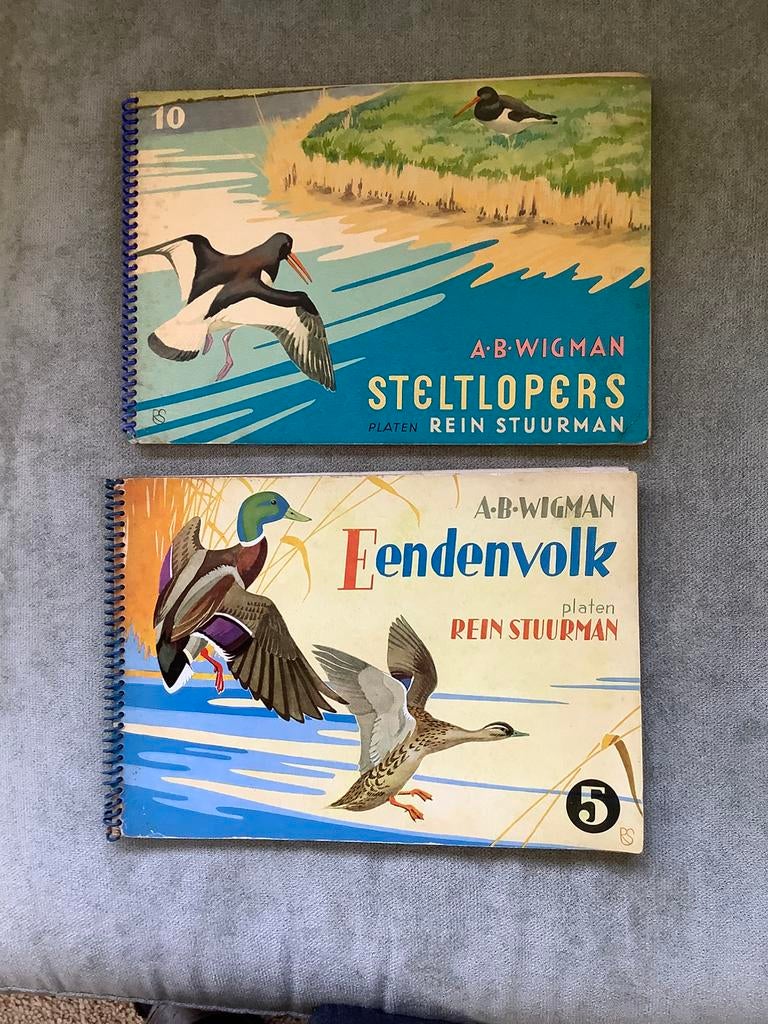 Boekje Eendenvolk en Steltlopers van Rein Stuurman, Ophalen of Verzenden, Zo goed als nieuw