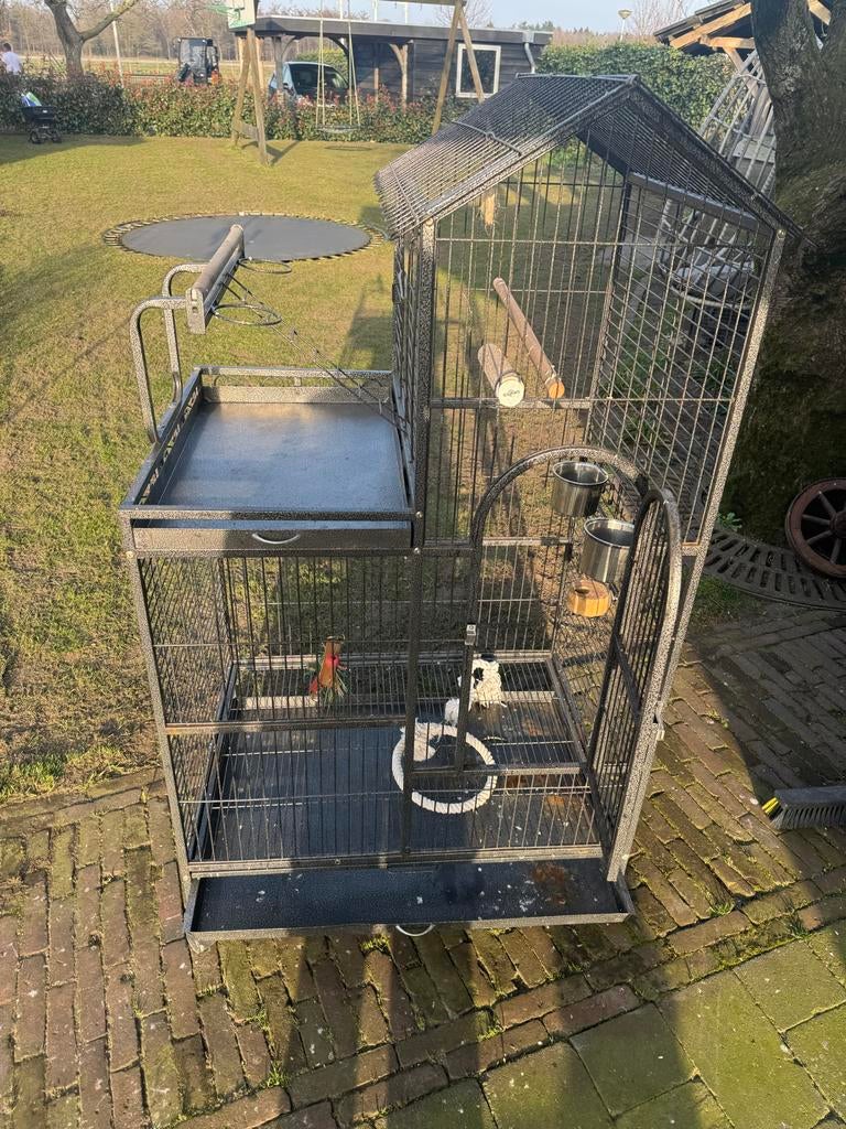 Papegaaien kooi, Dieren en Toebehoren, Ophalen of Verzenden, Gebruikt, Metaal, Vogelkooi