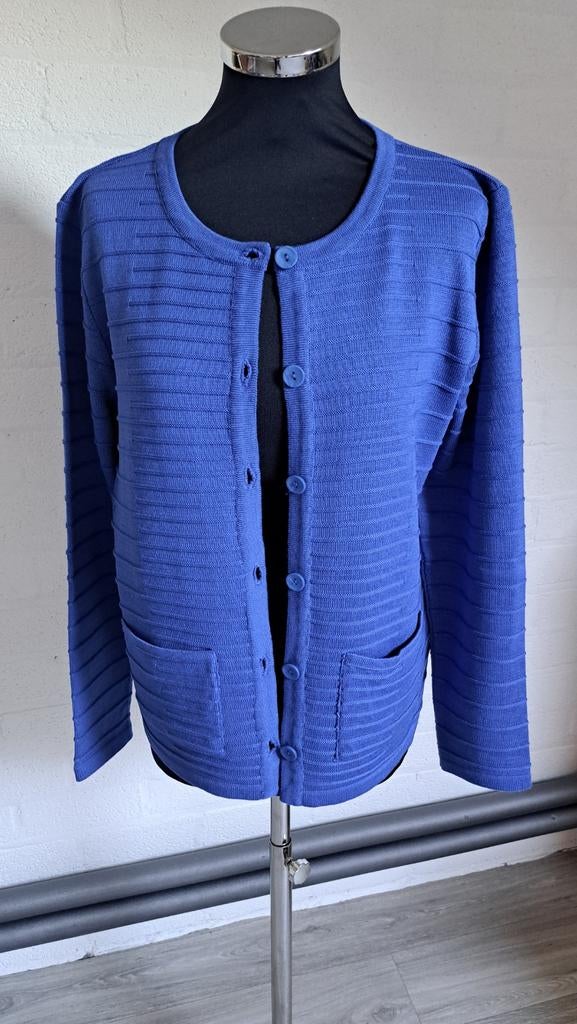 Prachtig kobalt blauw vest maat 40., Kleding | Dames, Truien en Vesten, Ophalen of Verzenden, Zo goed als nieuw, Maat 38/40 (M)